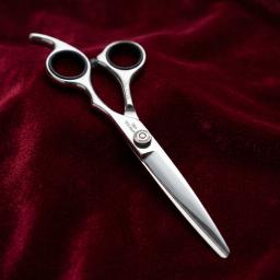 Scissors
